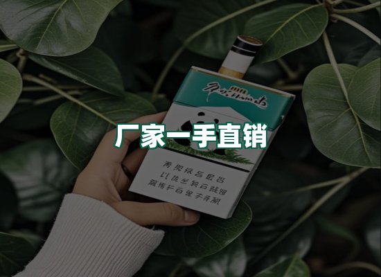 核心优势